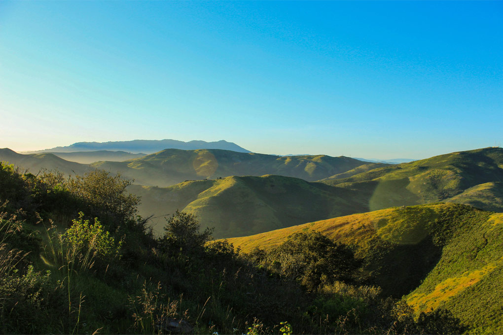 Green Marin County hills